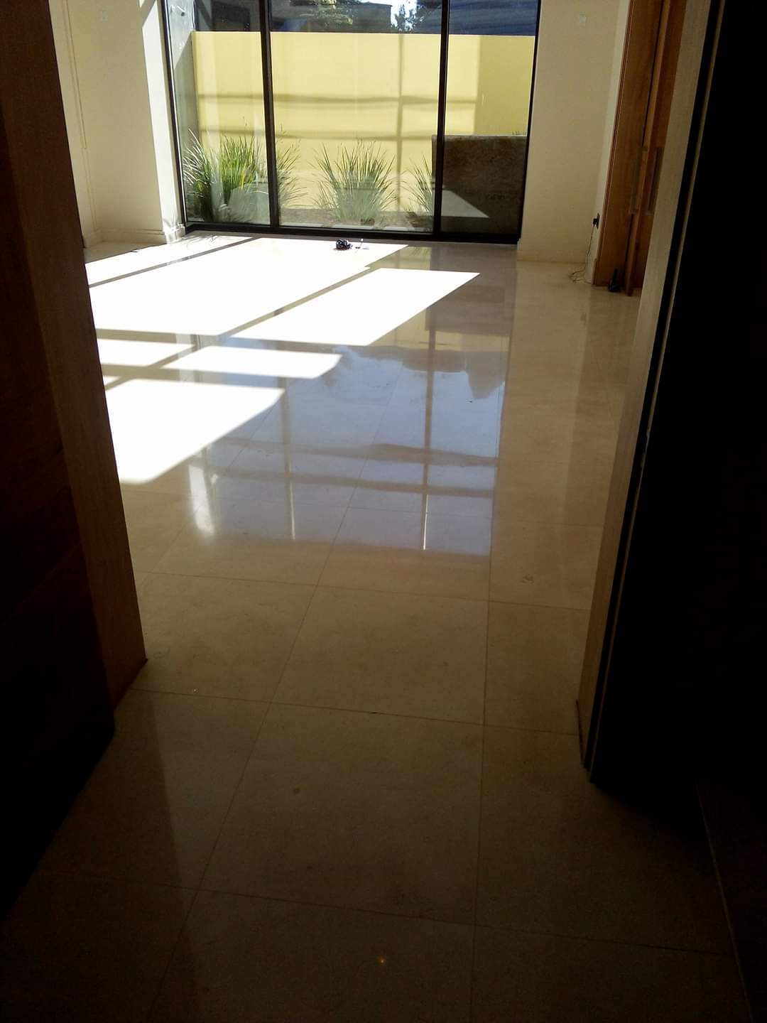 Imagen 4